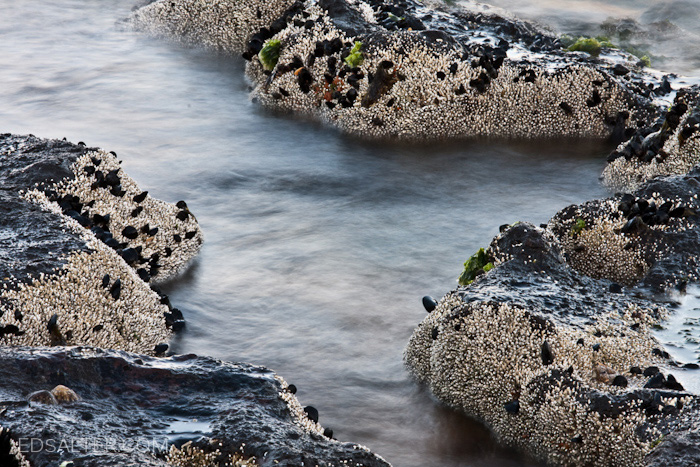melbourne beach rocks with oil
