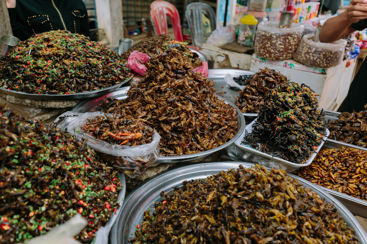 Local insect based snacks in Phon Phen